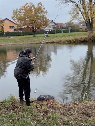 Balzer GmbH on Instagram: "STELLFISCH STATT KUNSTKÖDER‼️ Fängt man mit dem Naturköder größere Hecht? In stark beangelten Gewässern kann das der Fall sein, aber definitiv ist so ein Ansitz entspannter und nicht weniger erfolgreich. Ein gut platzierter Köder der über dem Grund schwebt ist ein perfekter Happen für hungrige Räuber in der kalten Jahreszeit. #angeln #stellfischrute #ansitzangeln #hecht #deadbait"