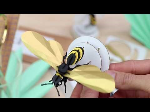How to make a paper Wasp 3D insect puzzle | Assembli