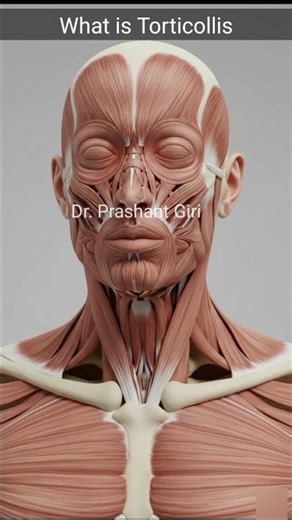 🔹 STRAIGHTEN THE NECK. RESTORE THE BALANCE. LIVE PAIN-FREE. 🔹