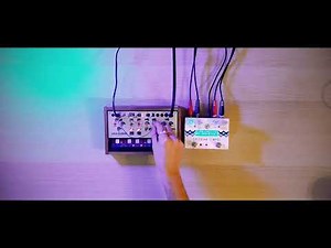 Volca Modular & Specular Tempus
