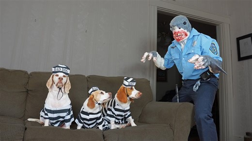 "Dogs Arrested by Shark Cop Prank: Maymo