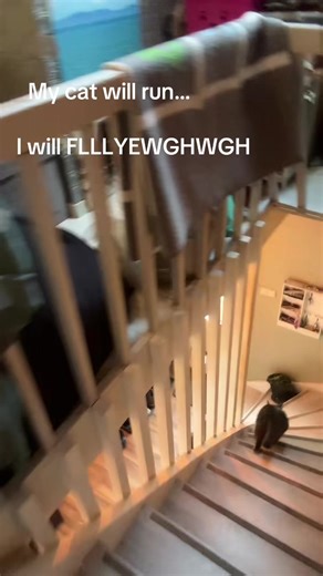 🦢 ⋆. 𐙚˚࿔ ℒℐ𝒩𝒩ℰ𝒜 𝜗𝜚˚⋆🦢 (@mayadisplay)’s videos with original sound - Trieuy00071