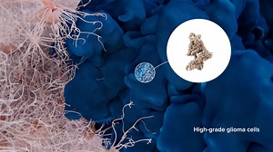 Learn how CAN-3110 works