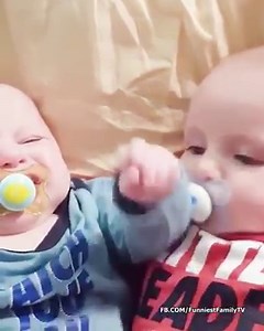 17K views · 73 shares | Funny Twin Babies Playing Together - Funny Twin Videos | Funniest Family Moments TV | Facebook