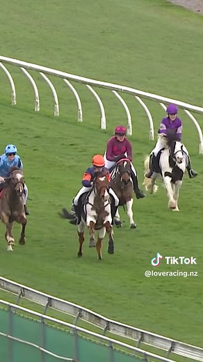 Exciting Pony Racing at Riccarton Park | LOVERACING.NZ