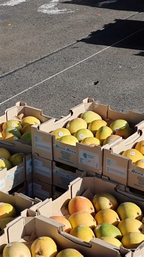 166 reactions | Live from the loud Sydney markets—Dave’s Market...