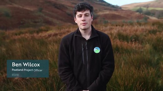 It's #WorldPeatlandsDay! 🌍 But what are peatlands? Why are they so crucial to our planet's health? And why are they in trouble? Nature, explained 👇 | RSPB