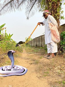Hungry snake man😱 | Wonderland comedy WCY