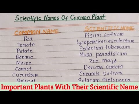 Scientific Name Of Common Plant Name | Plant With Scientific Name | List Of Scientific Name Of Plant