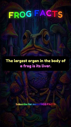 The largest organ in the body of a... | Frog Facts