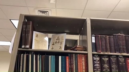 Meet Rachel Simmons, the Winter Park Library's very own archivist (aka your friendly neighborhood archivist). Travel back in time by visiting the library's extensive archives and discover more about our city's history. Listen to Rachel talk about what she does, what you can find and how The Winter Park Canopy will better house our city's historical documents. #WPPL #AmericanArchivesMonth #WinterParkFla #NextChapterWP | City of Winter Park - Government