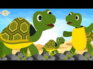 Sing & Learn "I Had a Little Turtle" with Tiny Tim & Whimsicle 🐢 | Nanyland Kids Rhymes