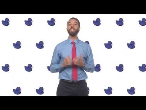 Look at these ducks zearn wild card