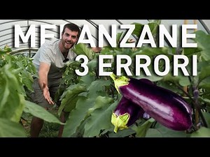 MELANZANE, potatura e sostegni