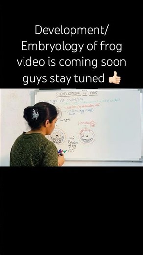 Embryology/ development of frog video will be coming soon, stay tuned 👍🏻 #embryology #frog #shorts