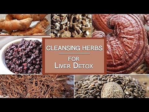 Cleansing Herbs for the Liver and More | Healing Herbs for Detoxification