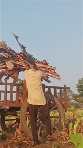 १८ नोव्हेंबर, २०२५