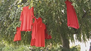 4.8K views · 52 reactions | People across Canada came together on Monday to honour Missing and Murdered Indigenous Women. Dozens of people came together for a candlelight vigil outside Vancouver City Hall to mark the national day of action. https://globalnews.ca/video/8245193/missing-and-murdered-indigenous-women-honoured-at-vancouver-gatherings | Global BC | Facebook
