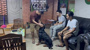 104K views · 4.4K reactions |...