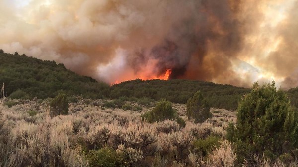 Wildfire near Grand Junction grows to 13,074 acres