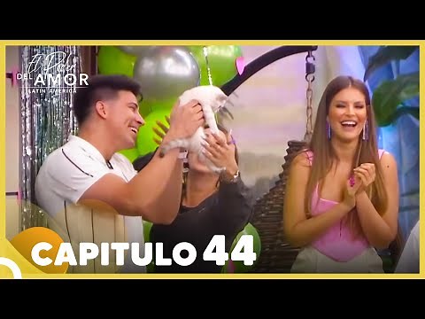 El Poder Del Amor Capitulo 44 Completo (29 Septiembre 2021)