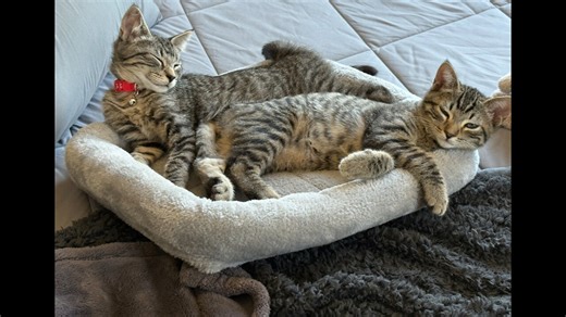 Coffee With Scott Adams 8/18/25