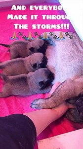 201K views · 484 reactions | 勺Hey everybody!勺Well, running a dog...