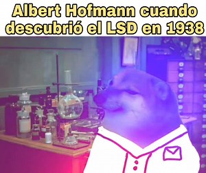 Memes del perrito cheems con diferentes frases on Reels