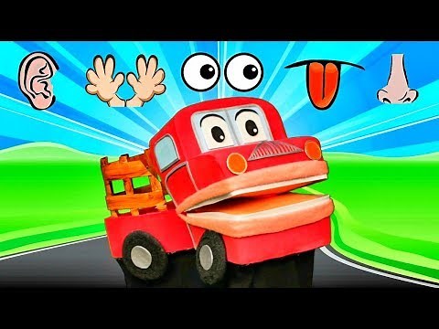 Los Cinco Sentidos | Barney El Camión | Canciones Infantiles | Videos Educativos