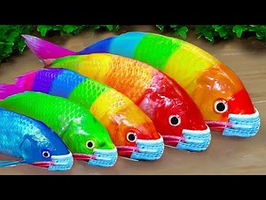 Stop Motion Lego Fish Rainbow Crocodile, Pink Catfish, Baby Shark - Cartoon Koi Aquarium Fish