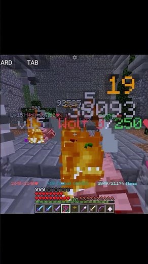 Easiest way to kill T4 wolf Slayer in Fakepixel skyblock #fakepixel #hypixel #slayer
