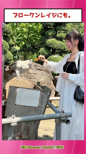グランプリを4つ取る高崎かなみさん #反応集 #人物紹介 #高崎かなみ