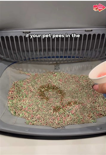 Automatic Litter Box: Hassle-Free Pet Cleaning Solution