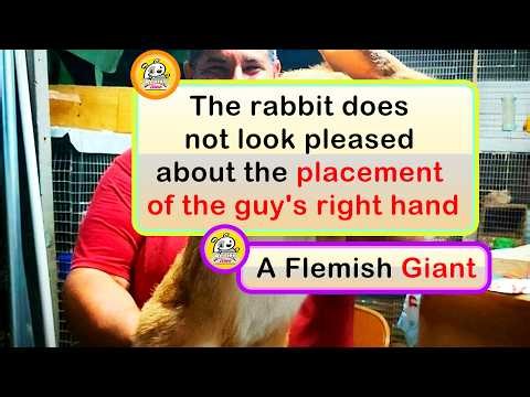 Huge Things You Didn’t Know Came in Giant Sizes