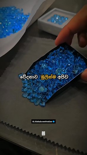 වේදනාව මුලින්ම අපිව..😎😈🔥 #SigmaMindset #lifestyle #lifelessons #motivation #mentallystrong #motivationalquotes | SL Sinhala motivation