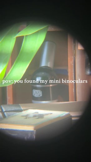 Eclectic Sol (@eclectic.sol.studio)’s videos with original sound - Eclectic Sol