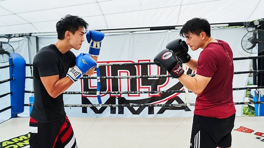 C.L.I.F. 5 警徽天职之海岸卫队