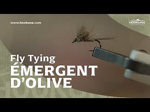 Montage de mouches | Émergente en CDC