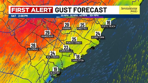 15K views · 37 reactions | FUTURE TRACKER: Stronger winds will play a huge role in our forecast this weekend! Southerly wind gusts could approach 30 MPH to the west of I-95 on Saturday afternoon, where a Lake Wind Advisory has been issued. Winds will become more widespread on Sunday as colder air spills in, perhaps with gusts climbing over 35 MPH at times. | Live 5 Weather | Facebook