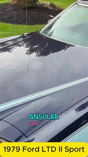 254K views · 6.8K reactions | 1979 Ford LTD II Sport | Teresa Treadwell | Facebook