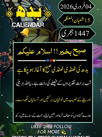 Morning Reflections and Updates - February 4, 2027