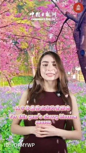 Now is the perfect time to visit Wuhan and enjoy the blossoms.