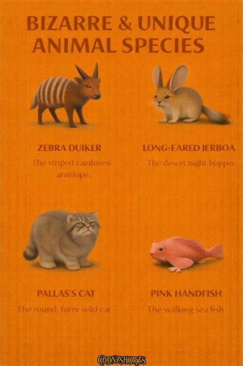 The Walking Fish That Uses Fins Like Hands | #shorts