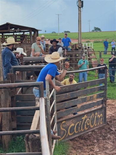 Raphael Leal 🤠 on Instagram: "Começou primeiro dia de capação…🐂🤠🔥 Oia nos storys… 🙋🏽‍♂️🐴🐂🔥"