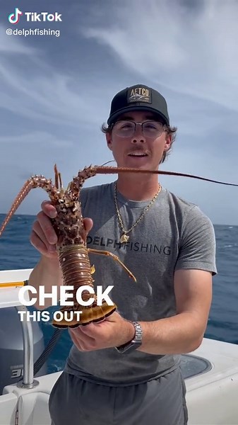 Using Lobster as Bait for Fishing - Incredible Technique Revealed!