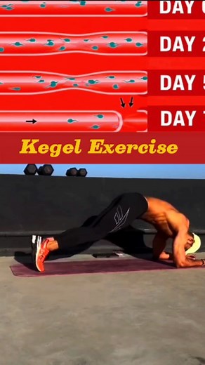 Kegel Exercise (plank crunches) for core strength  #lowerbody #topkegel #musclegains #flexibilitytraining #fyp #gym #kegelexercises #fitnessjourney #exercises #kegel #fyp | Fitness Hub2.0 | Facebook
