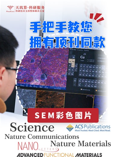 【实验小知识】SEM操作全流程