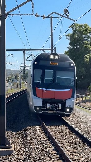 D134/D56 Arriving Into Woy Woy #train #sydneytrains #fypシ゚viral