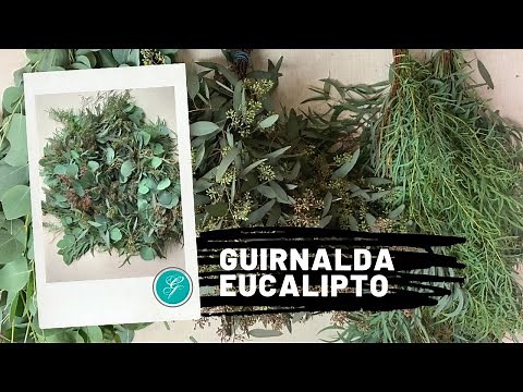 Guia de eucalipto / Eucaliptus garland DIY