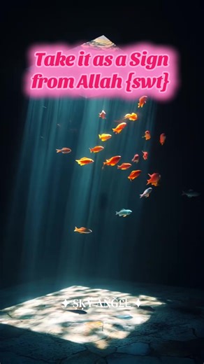 Understanding Signs from Allah: A Spiritual Reflection